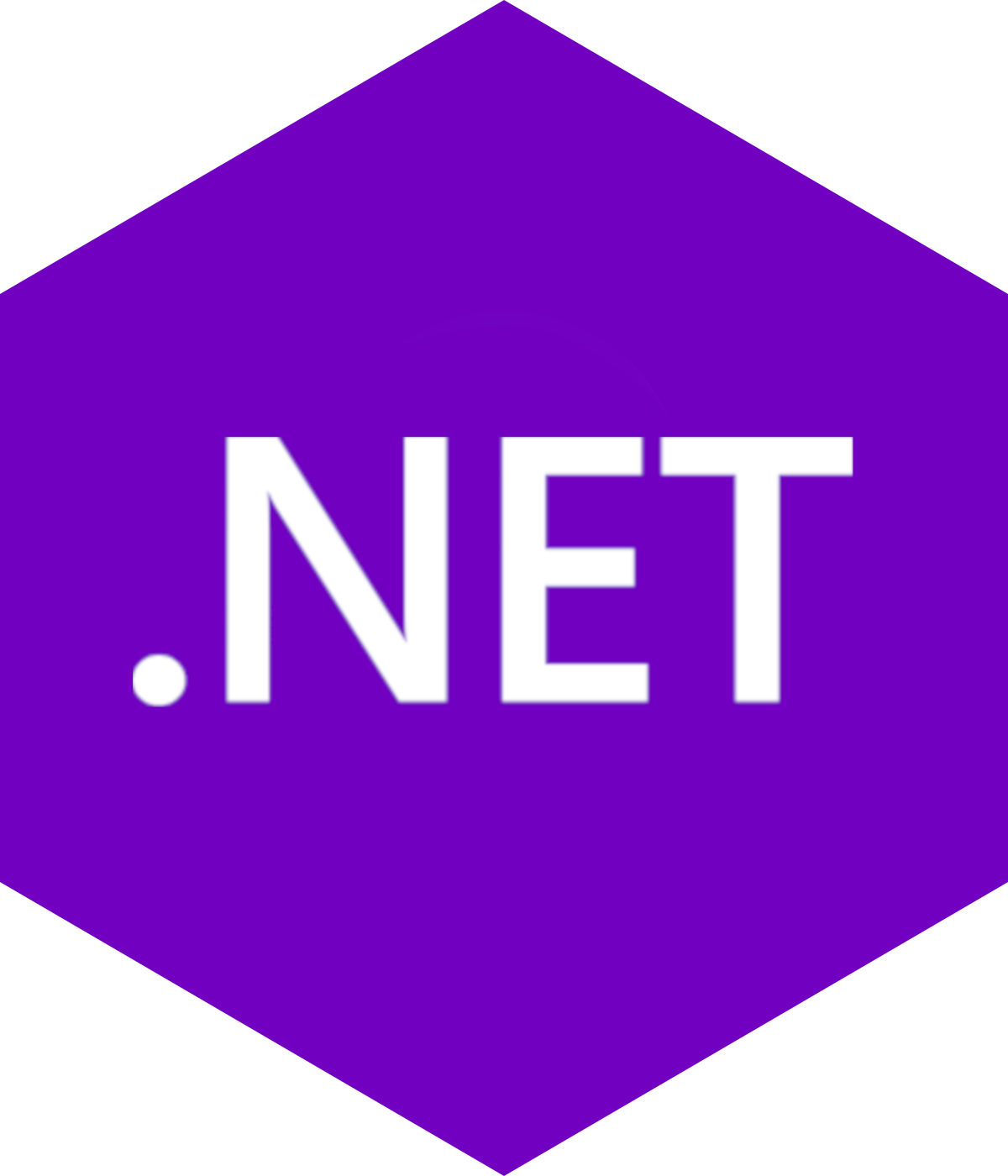 .NET Programátor